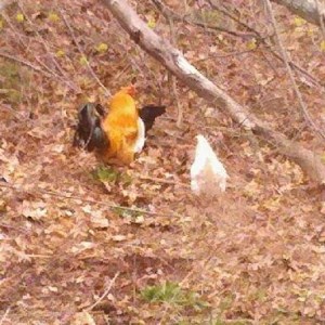 260ee9bf-f0f0-448a-834c-ac3cc263aac6