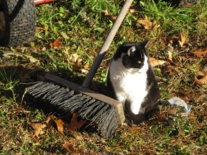 d0cb9ef5-d036-4a7e-a533-c988940c19f9