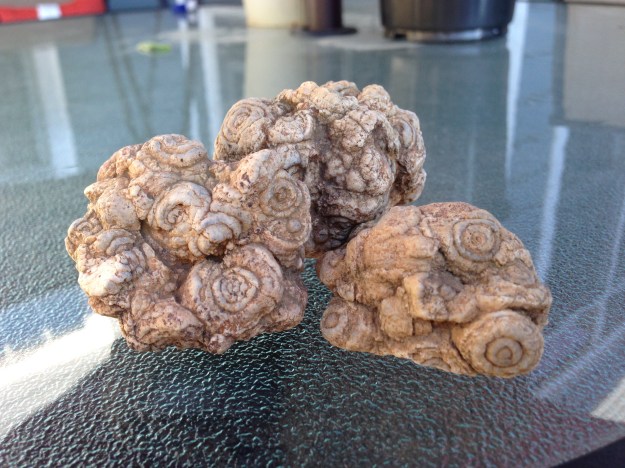 Cabbage Head Quartz2