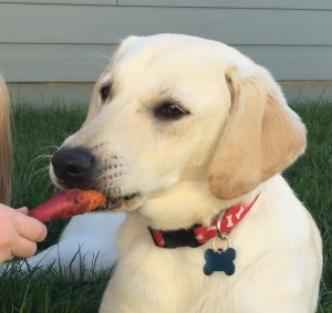 Even Kramer likes Dragon carrots!