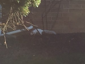 photo-oct-15-9-17-26-am