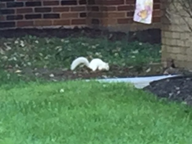 photo-oct-15-9-17-40-am